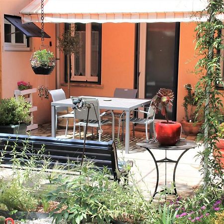 Maison Toulousaine Avec Jardin Toulouse Kültér fotó