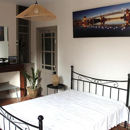 Maison Toulousaine Avec Jardin Toulouse Kültér fotó