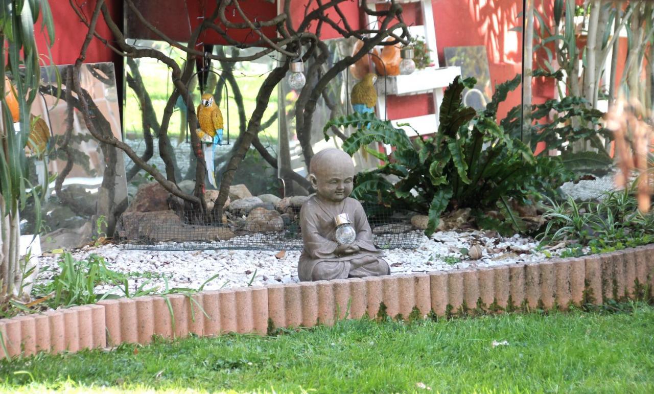 Maison Toulousaine Avec Jardin Toulouse Kültér fotó