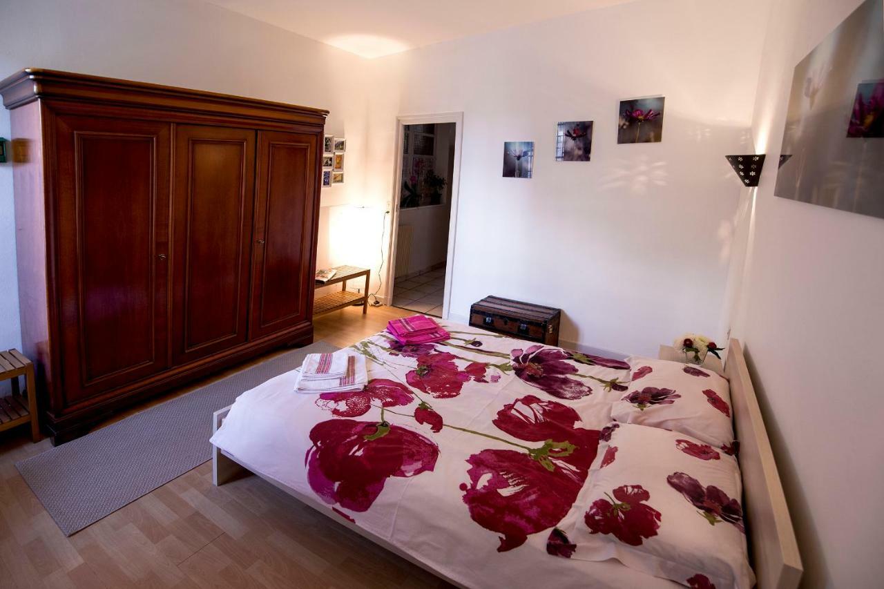 Maison Toulousaine Avec Jardin Toulouse Kültér fotó